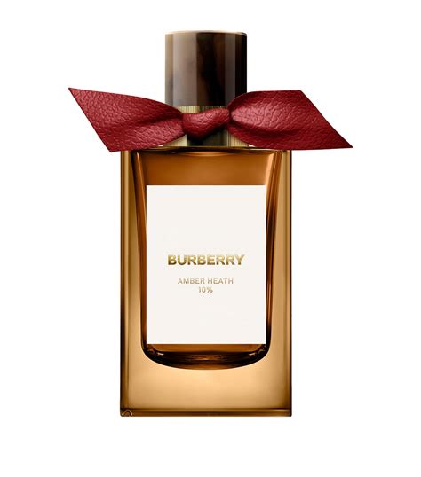 amber heath burberry